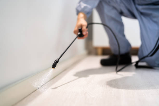 Licensed Termite Control service in Warminster Heights, PA - Show Me Pest Control
