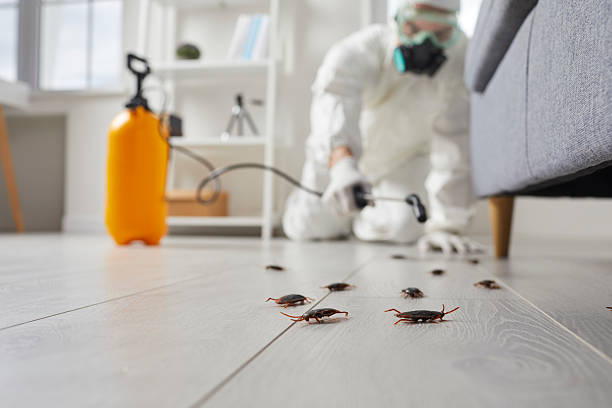 Commercial Kitchen Cockroach Control in Warminster Heights